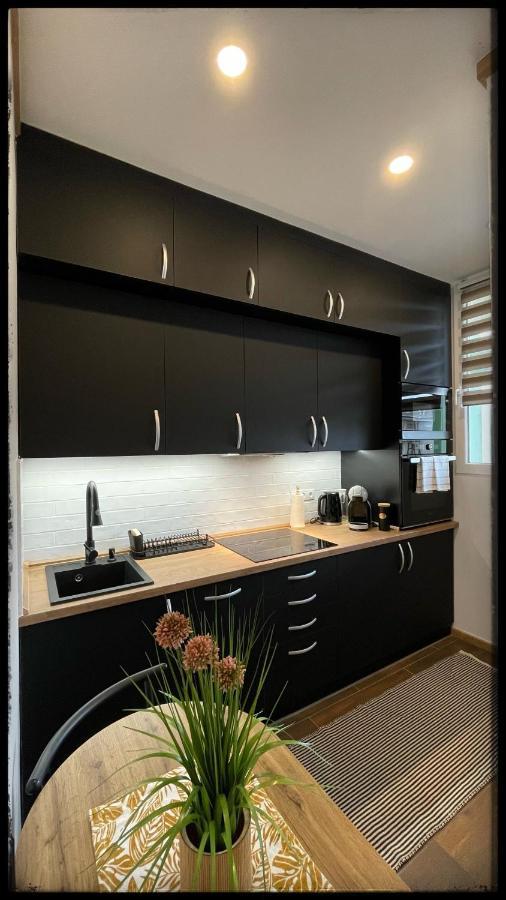 Good Knight Apartman Apartment Seghedin Exterior foto